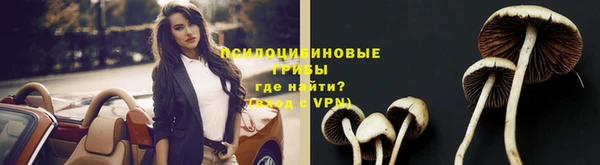винт Надым