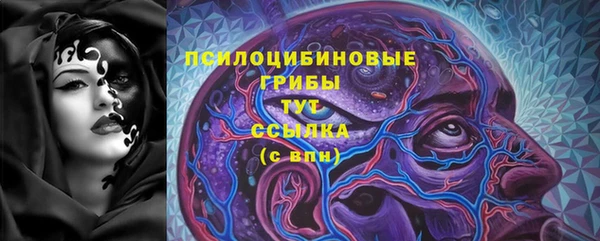 винт Надым