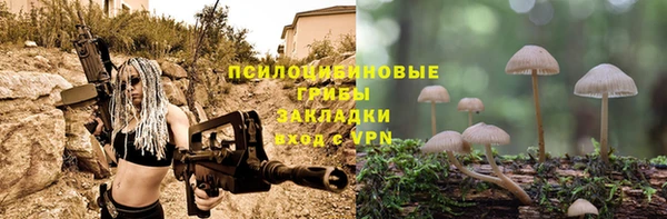 винт Надым