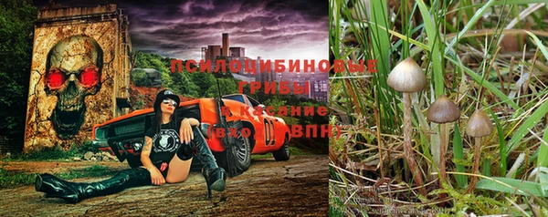 трава Нефтегорск