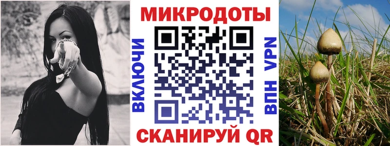 Галлюциногенные грибы MAGIC MUSHROOMS  закладки  Обь 