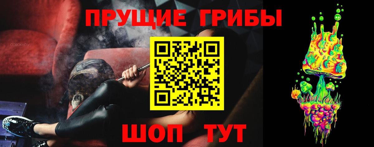 Псилоцибиновые грибы GOLDEN TEACHER Обь